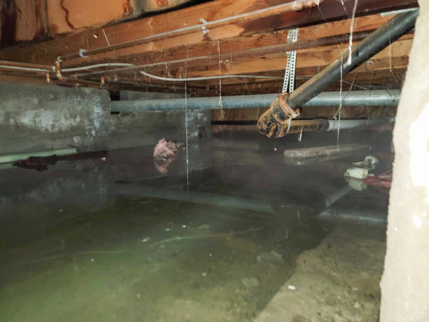 Best Residential water damage restoration  in Bradley, WV