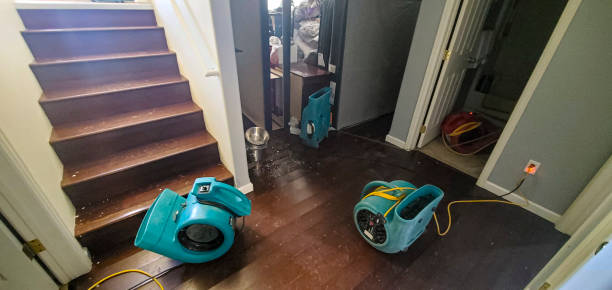 Best Fire Damage Restoration  in Bradley, WV