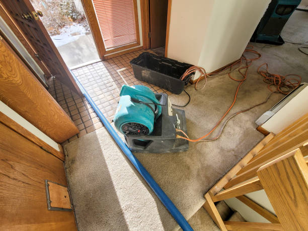 Best 24/7 water damage repair  in Bradley, WV