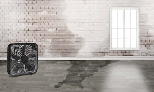 Best Sewage cleanup and water damage restoration  in Bradley, WV