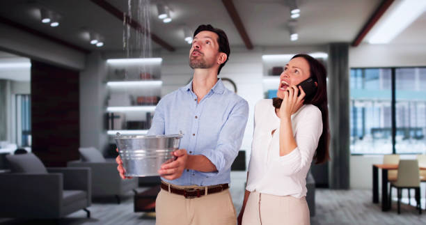 Best Mold removal after water damage  in Bradley, WV