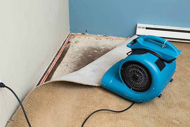 Best Water damage restoration near me  in Bradley, WV